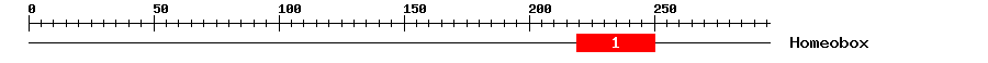 Signature Domain