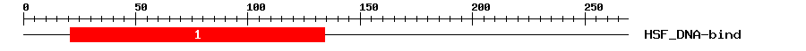 Signature Domain