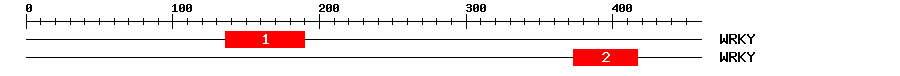 Signature Domain