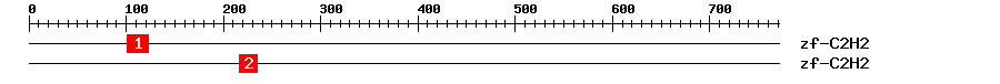 Signature Domain