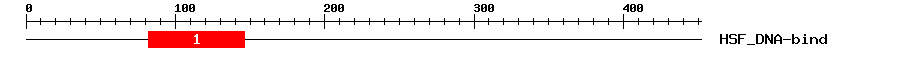 Signature Domain