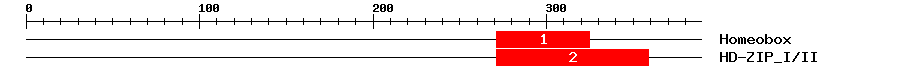 Signature Domain