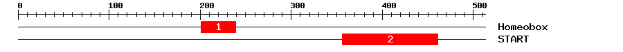Signature Domain