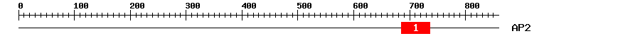 Signature Domain