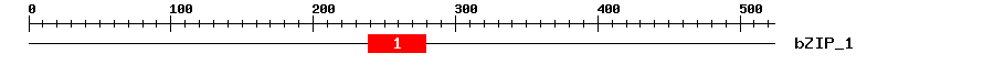 Signature Domain