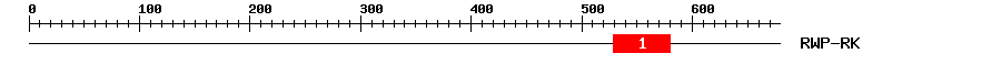 Signature Domain