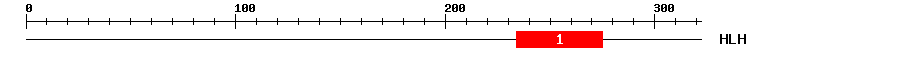 Signature Domain