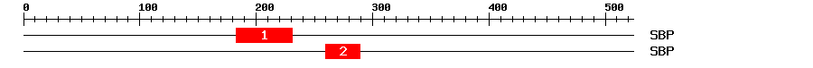 Signature Domain