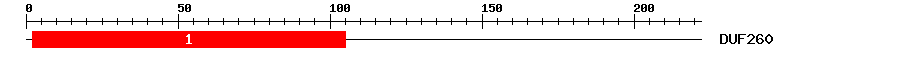 Signature Domain