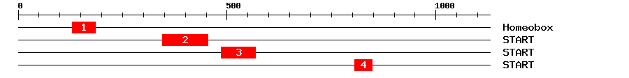 Signature Domain