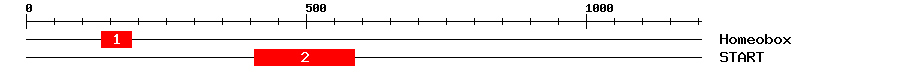 Signature Domain