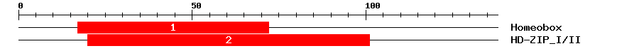 Signature Domain