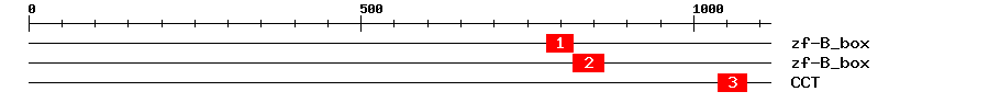 Signature Domain