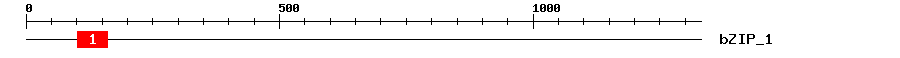 Signature Domain