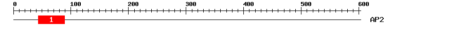 Signature Domain
