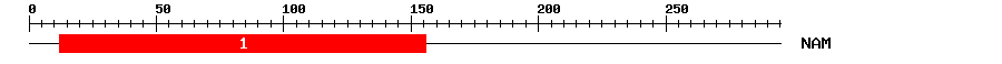 Signature Domain