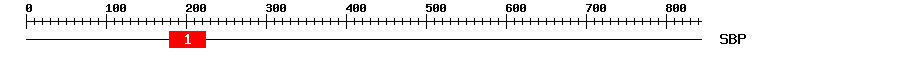 Signature Domain