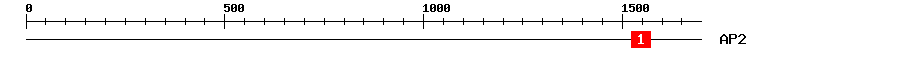 Signature Domain