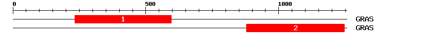 Signature Domain