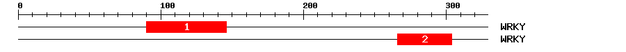Signature Domain