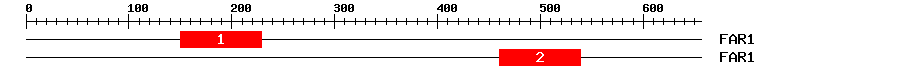 Signature Domain