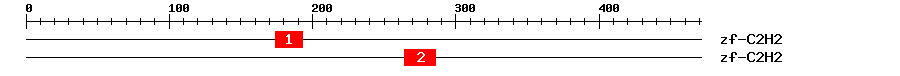 Signature Domain