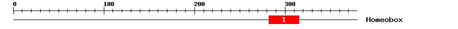 Signature Domain