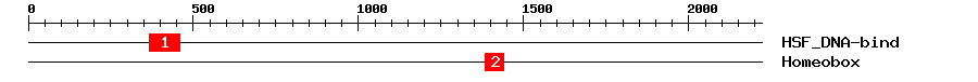 Signature Domain