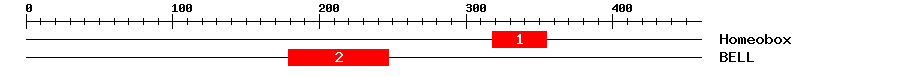 Signature Domain