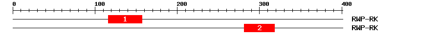 Signature Domain