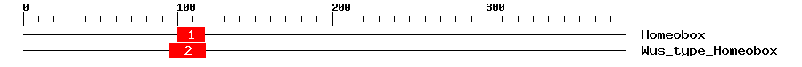 Signature Domain