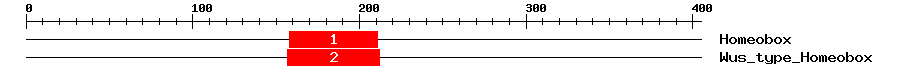 Signature Domain