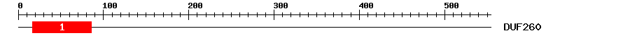 Signature Domain