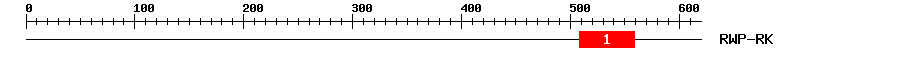 Signature Domain