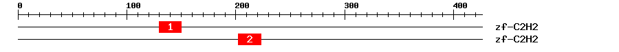 Signature Domain