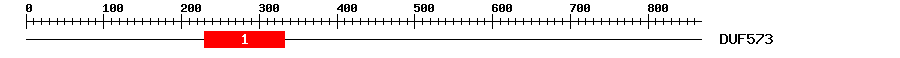 Signature Domain