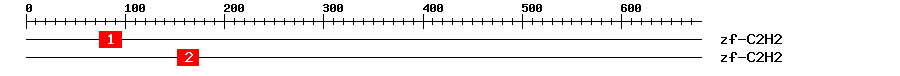 Signature Domain