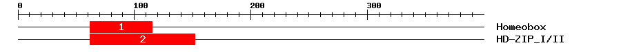 Signature Domain