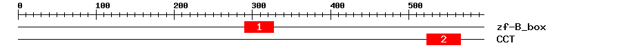 Signature Domain