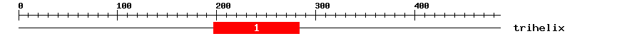 Signature Domain