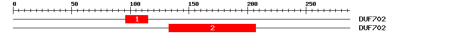 Signature Domain