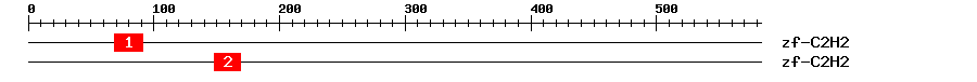 Signature Domain