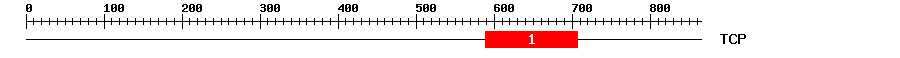 Signature Domain