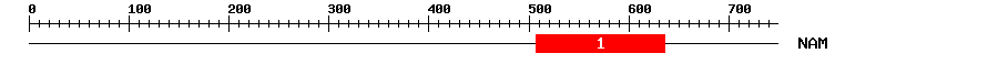 Signature Domain