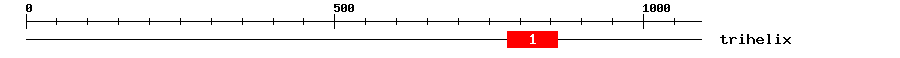 Signature Domain
