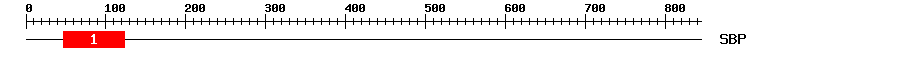 Signature Domain