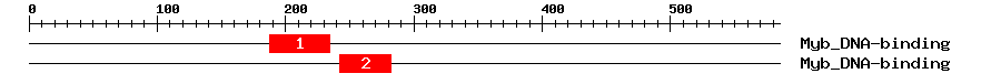 Signature Domain