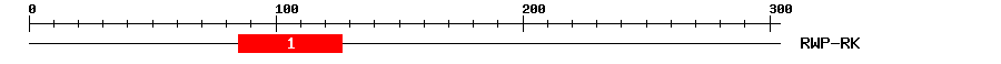 Signature Domain