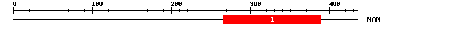 Signature Domain