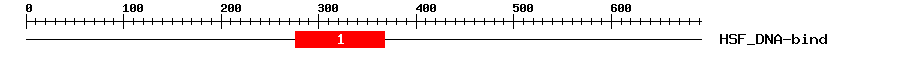 Signature Domain